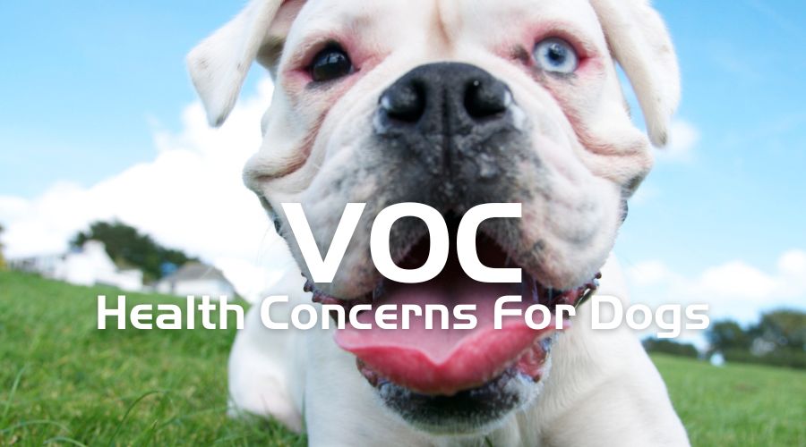 What is VOC?