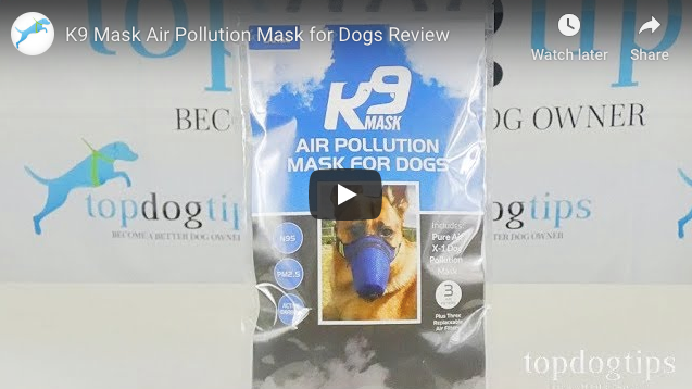 Top Dog Tips K9 Mask Video Review