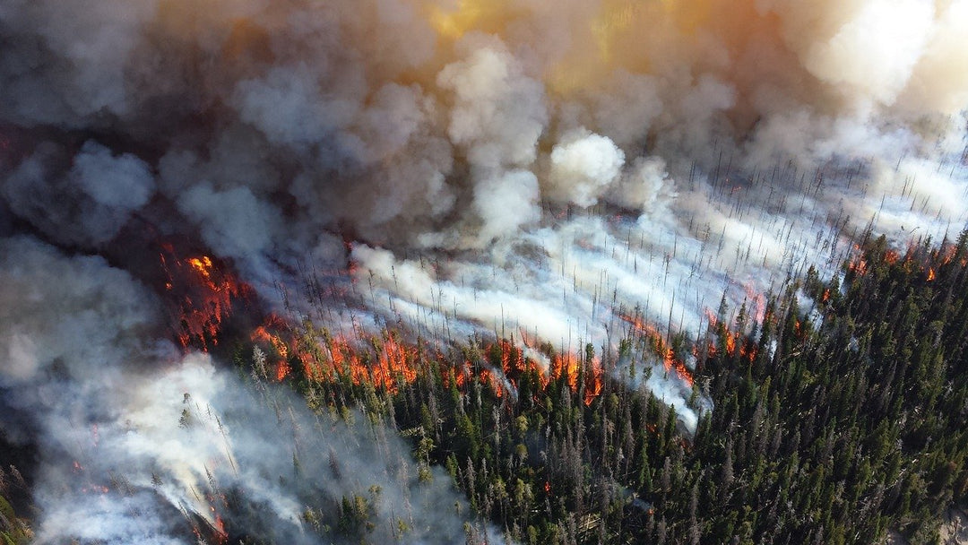 When Is California Fire Season this Year?